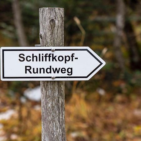 Wellness-& Nationapark Hotel Schliffkopf, Bwsc Baiersbronn Eksteriør bilde