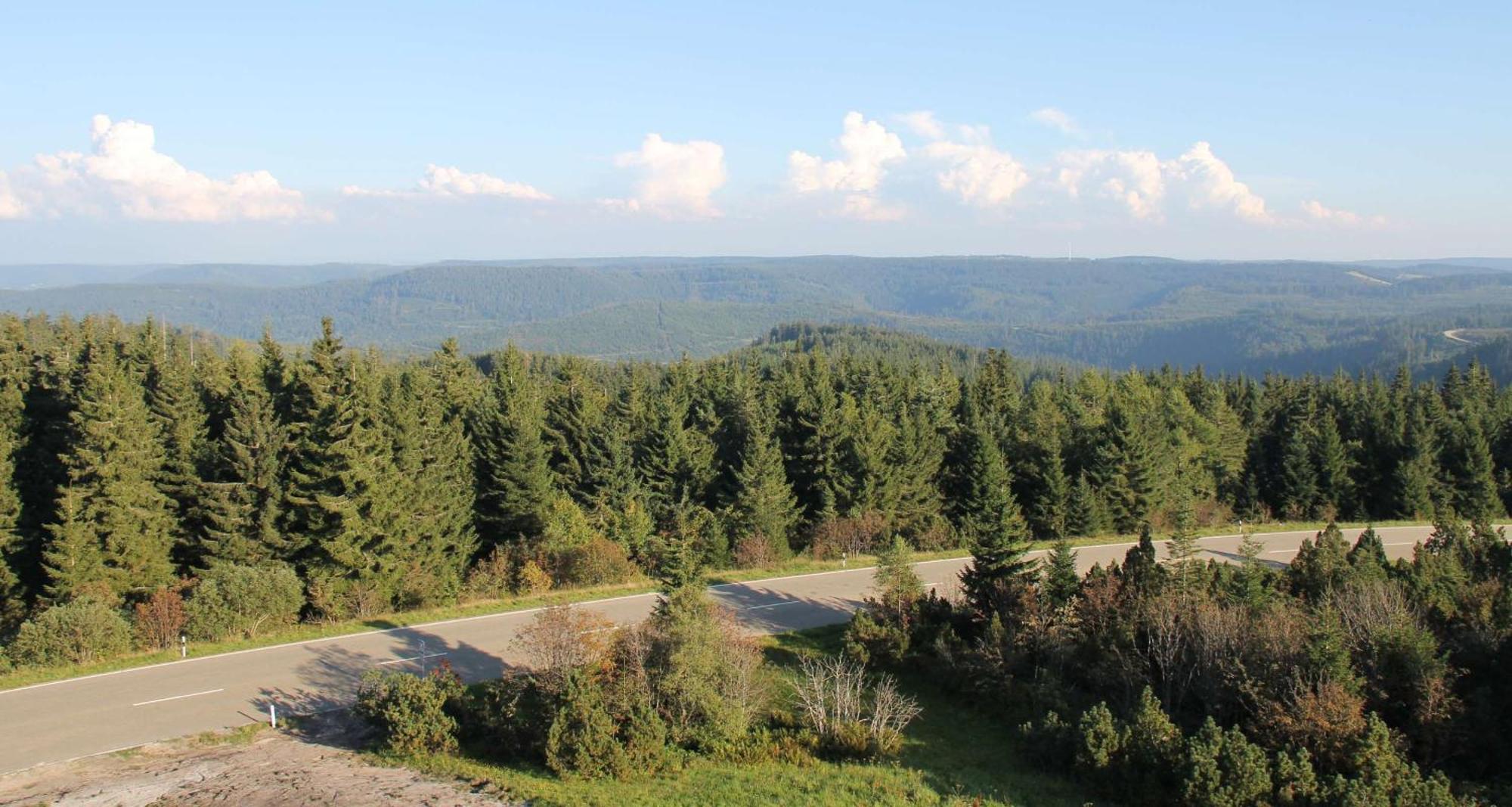 Wellness-& Nationapark Hotel Schliffkopf, Bwsc Baiersbronn Eksteriør bilde