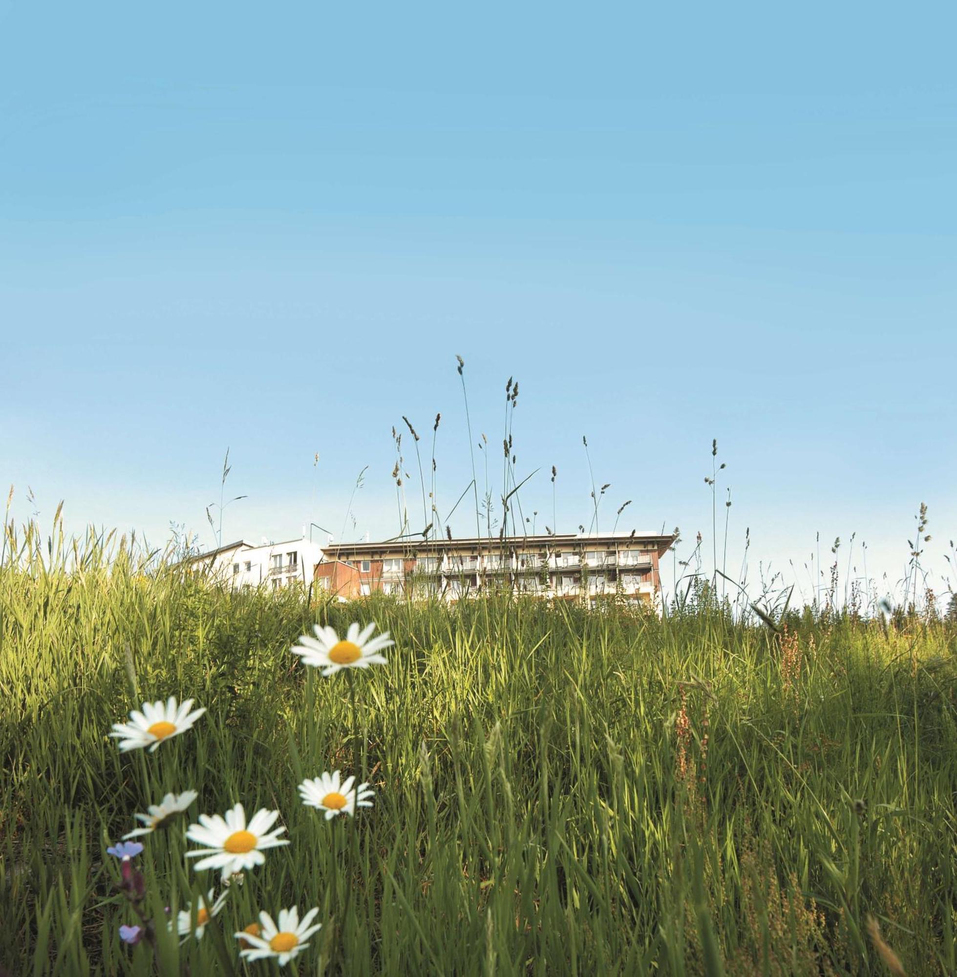 Wellness-& Nationapark Hotel Schliffkopf, Bwsc Baiersbronn Eksteriør bilde