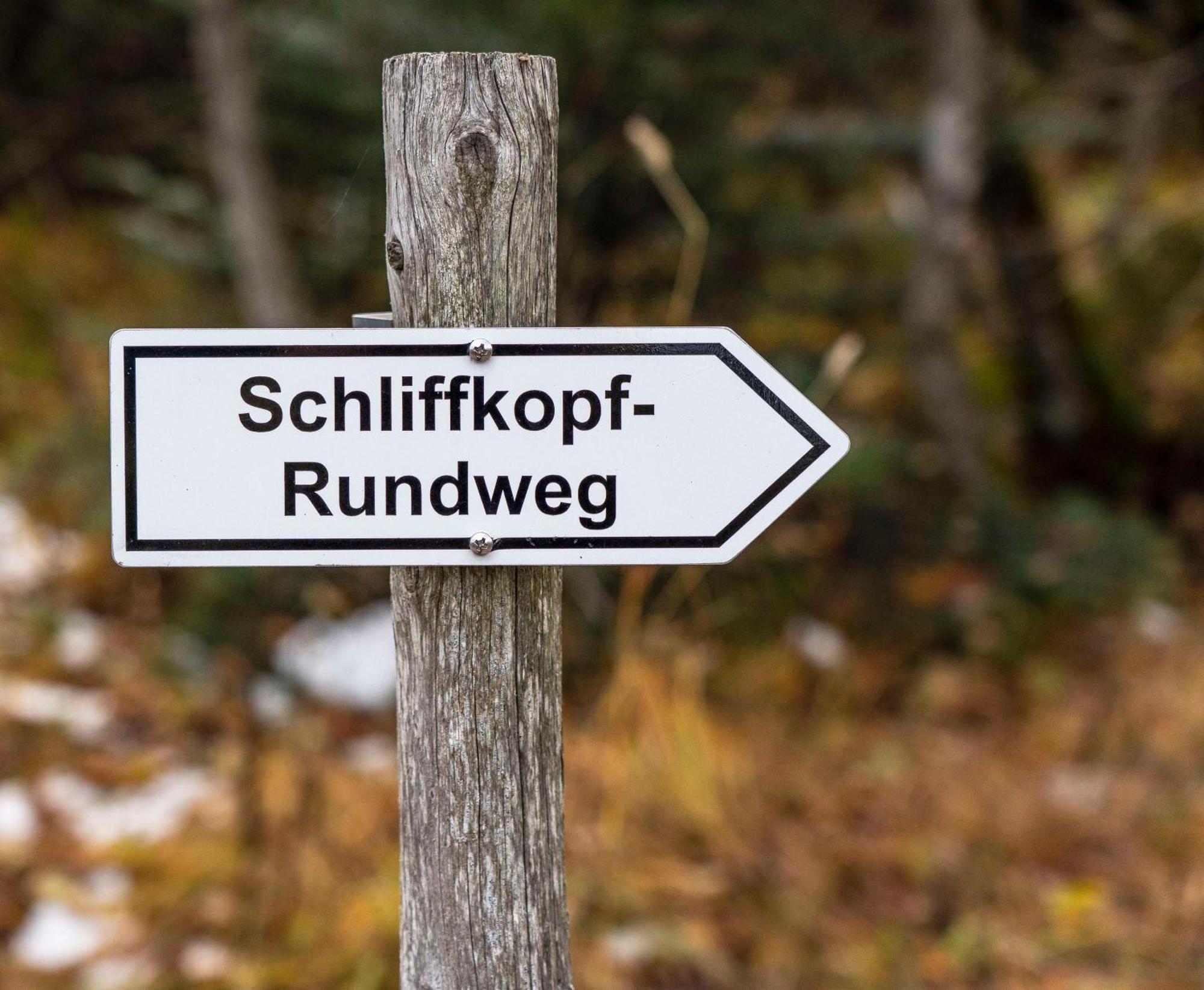 Wellness-& Nationapark Hotel Schliffkopf, Bwsc Baiersbronn Eksteriør bilde